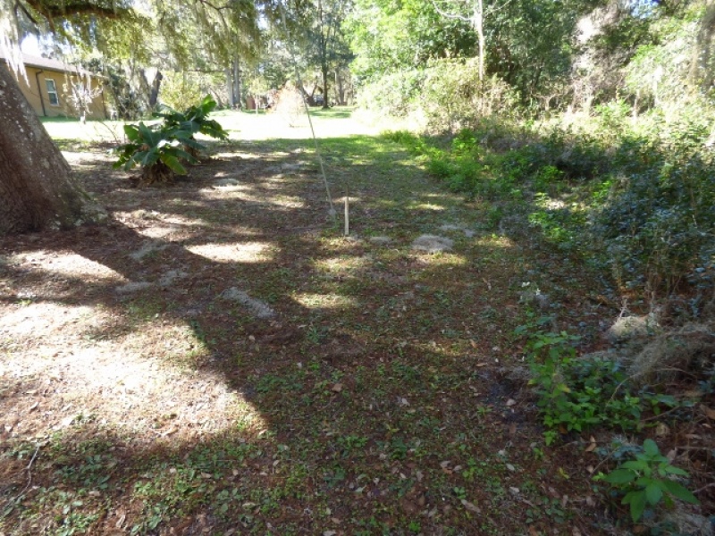 5617 Carl G. Rose Hwy 200, Hernando, Citrus, Florida, United States 34442, ,Waterfront,For sale,Carl G. Rose Hwy 200,714100