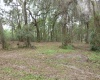 5617 Carl G. Rose Hwy 200, Hernando, Citrus, Florida, United States 34442, ,Waterfront,For sale,Carl G. Rose Hwy 200,714100