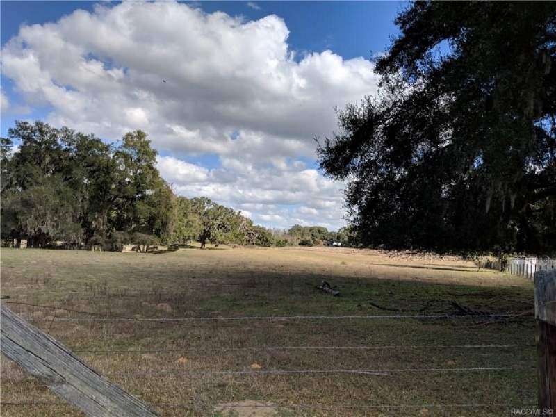 1960 Meadowview Terrace, Hernando, Citrus, Florida, United States 34442, ,Vacant Land,For sale,Meadowview Terrace,714104