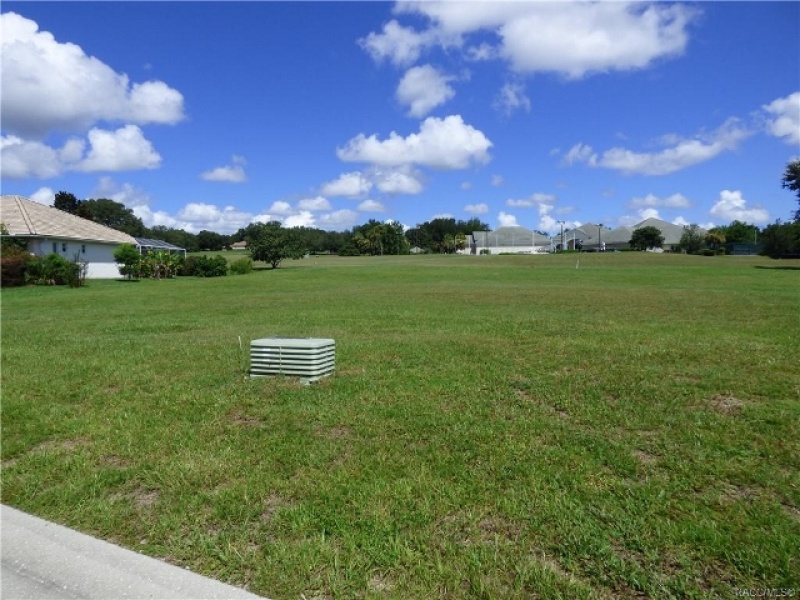 203 W Mickey Mantle Path, Hernando, Citrus, Florida, United States 34442, ,Vacant Land,For sale,W Mickey Mantle Path,714136